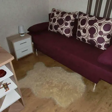 Ferienwohnung Vogel Lejlighed *